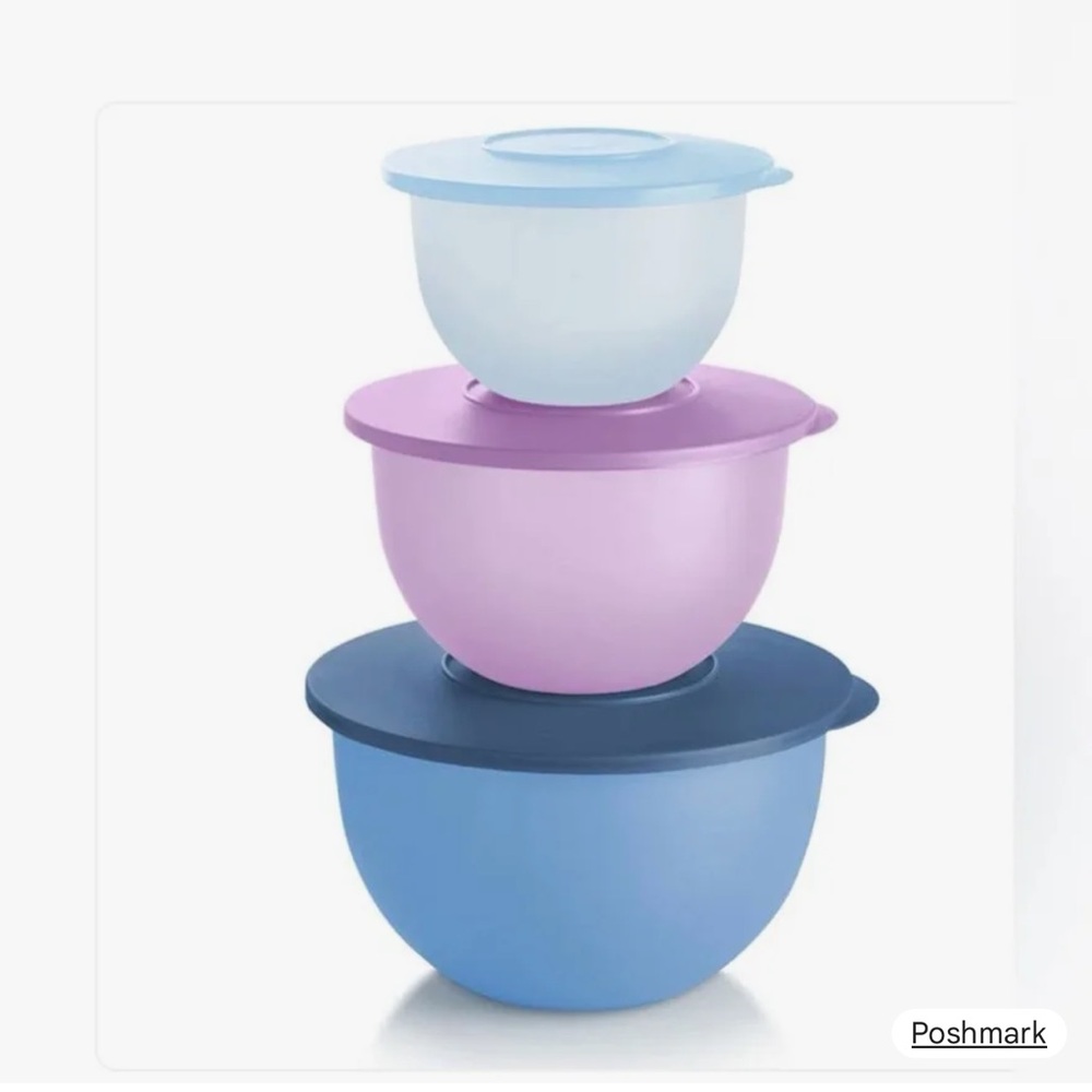 Tupperware Vibrant Bowl Trio in Blue and Purple